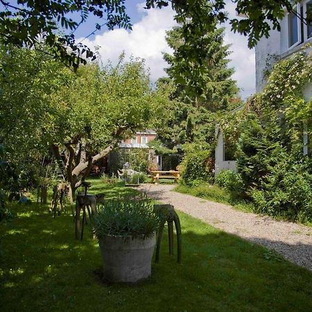 Achter Het Witte Huis 乌得勒支 外观 照片